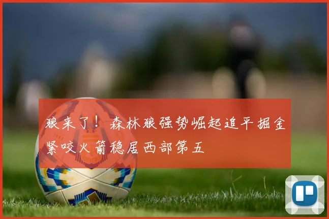 狼来了！森林狼强势崛起追平掘金紧咬火箭稳居西部第五