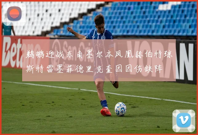 鹈鹕迎战东南墨尔本凤凰赫伯特琼斯特雷墨菲德里克奎因因伤缺阵